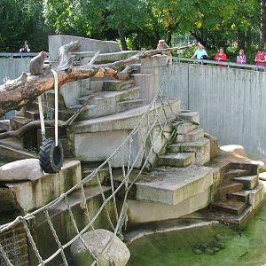 Macaque Rock at Wilhelma, Stuttgart 02/09/10