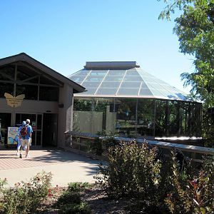 Butterfly and Insect Pavillion