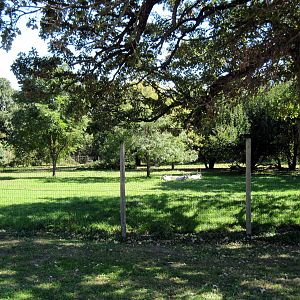 Hoofstock-Addax Exhibit