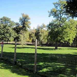 Hoofstock-Sable Antelope Exhibit
