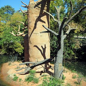 Expedition Madagascar-Ring-tailed Lemur Exhibit