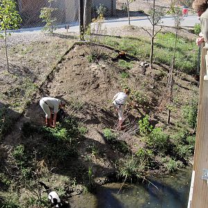 Expedition Madagascar-Black and White and Red Ruffed Lemur Exhibit