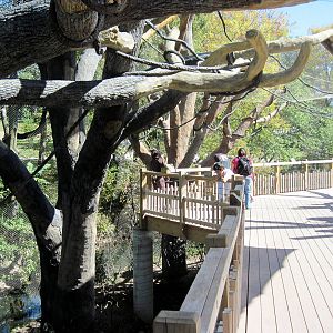 Expedition Madagascar-Black and White and Red Ruffed Lemur Exhibit