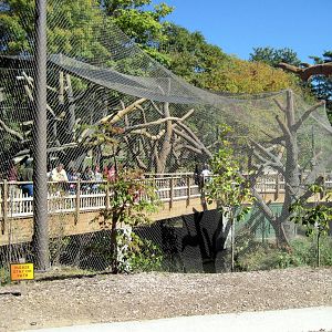 Expedition Madagascar-Black and White and Red Ruffed Lemur Exhibit