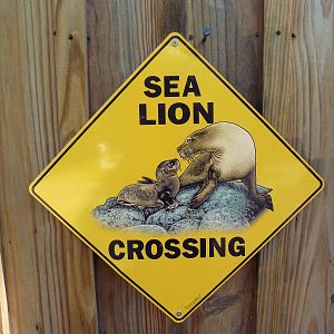 California Sea Lion Exhibit - Sign