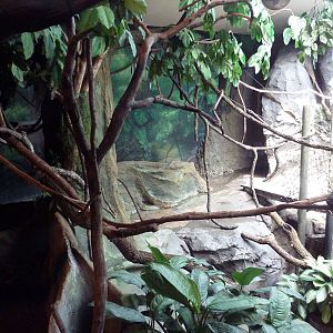 Natural Encounters - Mixed-Species Exhibit (9 Species)