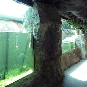 Natural Encounters - Piranha Exhibit