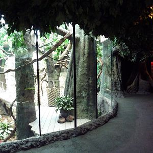 Natural Encounters - Mixed-Species Exhibit (9 Species)