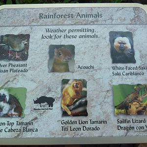 Natural Encounters - Mixed-Species Exhibit (9 Species)