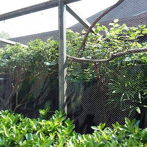 Natural Encounters - Mixed-Species Exhibit (9 Species)