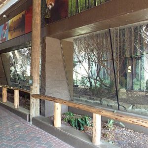 Red Panda Exhibit