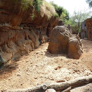 Natural Encounters - Meerkat Exhibit