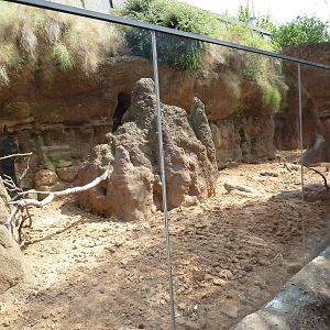 Natural Encounters - Meerkat Exhibit