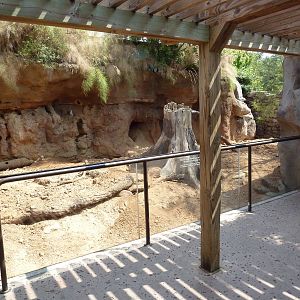 Natural Encounters - Meerkat Exhibit