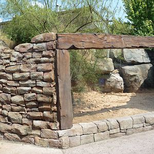 Natural Encounters - Meerkat Exhibit