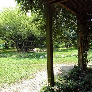 Cheetah/Anatolian Shepherd Exhibit