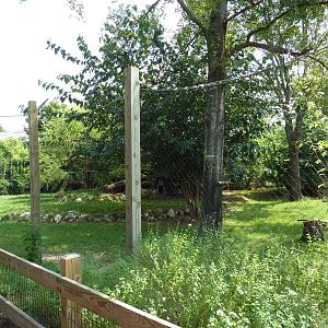 Cheetah/Anatolian Shepherd Exhibit