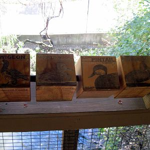 Simmons' Aviary-Signage