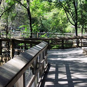 Simmons' Aviary-Path