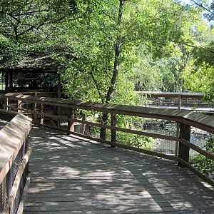 Simmons' Aviary-Path