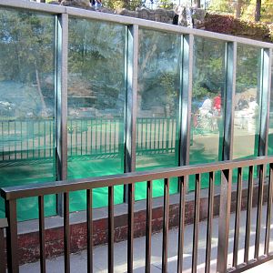 Bear Canyon-Polar Bear Exhibit