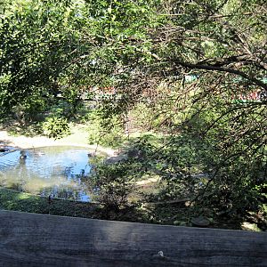Swan Valley-Black Swan Exhibit