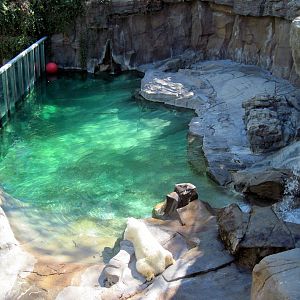 Bear Canyon-Polar Bear Exhibit