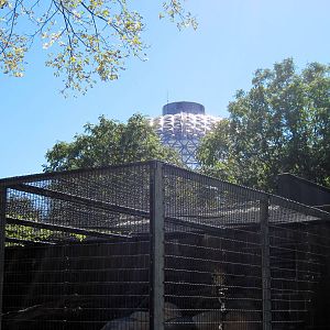 Cat Complex/Desert Dome