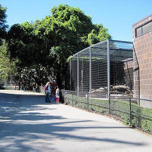 Cat Complex-Tiger Exhibit