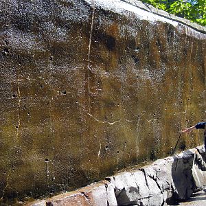 Orangutan Forest-Waterfall