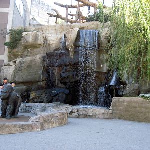 Orangutan Forest-Waterfall