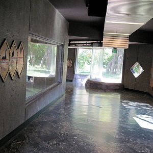 Gorilla Valley-Hallway