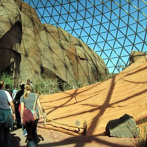Desert Dome-Namib Desert