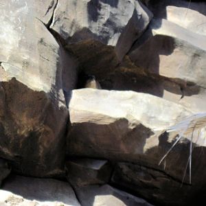 Desert Dome-Rock Hyrax