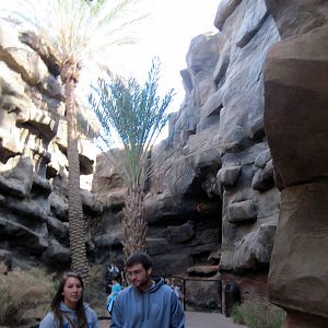 Desert Dome-Rock Hyrax Exhibit