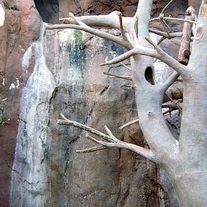 Desert Dome-Waterfall
