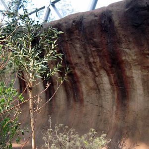 Desert Dome-Australian Desert
