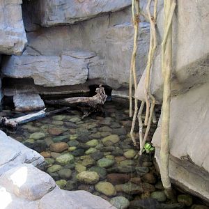 Desert Dome-Pond