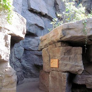Desert Dome-Hummingbird Canyon