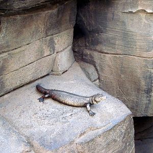 Desert Dome-Statuary