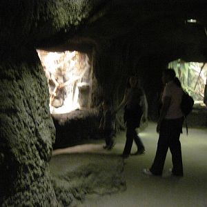 Desert Dome-Cave