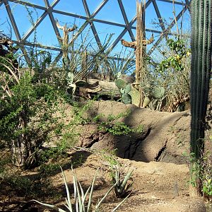 Desert Dome-Sonoran Desert