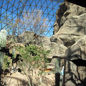 Desert Dome-Sonoran Desert