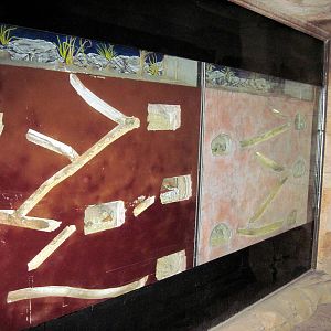 Kingdoms of the Night-Naked Mole Rat Exhibit