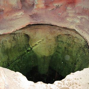 Kingdoms of the Night-Blind Cave Fish Exhibit