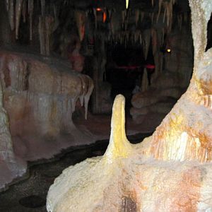 Kingdoms of the Night-Wet Bat Cave