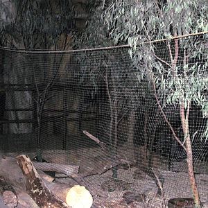 Kingdoms of the Night-Australian Exhibit