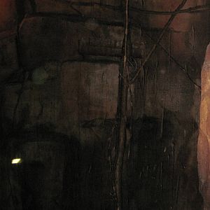 Kingdoms of the Night-Fruit Bat Exhibit