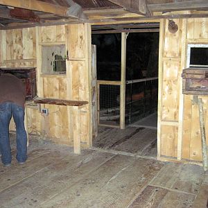 Kingdoms of the Night-Swamp Shack