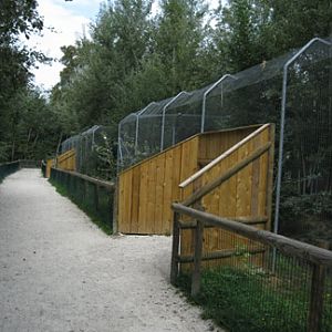 new small cat viewing